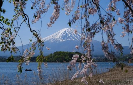 מסע בין מסורת לאדרנלין: 4 סיורי חובה ביפן שאסור לכם לפספס ב-2026